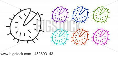 Black Line Chestnut Icon Isolated On White Background. Barbed And Strong Chestnut. Set Icons Colorfu