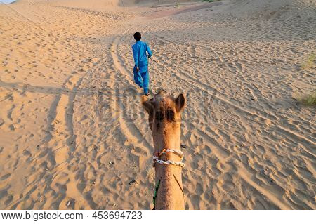 Cameleer Leading A Camel, Camelus Dromedarius, Into Sand Dunes Of Thar Desert, Rajasthan, India. Tou