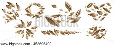 A Set Of Photos. Barley Malt Grains Levitate On A White Background