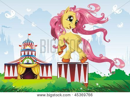 Muestra un caballo entrenado en el circo, Ilustración hermosa