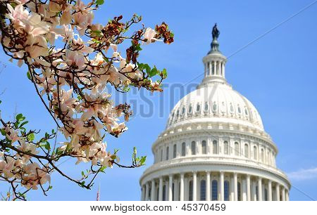 USA Capitol, Washington DC, USA