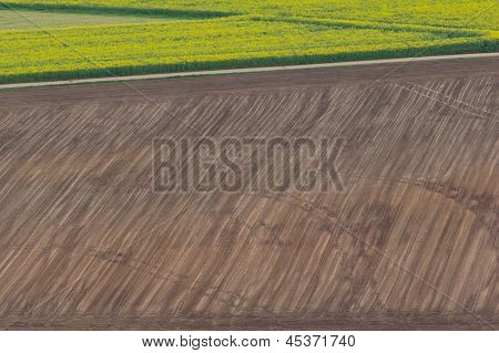 Paisaje de primavera