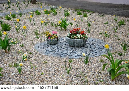 Flower Beds An Street With Cobbled Sidewalks Stone Cobblestone Mosaic. Spring Bulbs Bloom In Front O