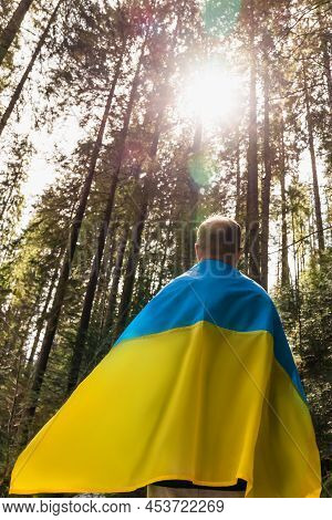 Back View Of Man In Ukrainian Flag Standing In Surest With Sunlight.