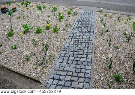 Flower Beds An Street With Cobbled Sidewalks Stone Cobblestone Mosaic. Spring Bulbs Bloom In Front O