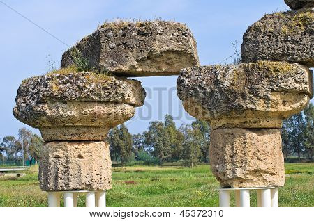 Parco archeologico. Metaponto. Basilicata. Italia.
