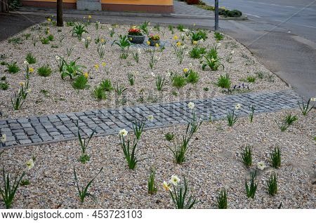 Flower Beds An Street With Cobbled Sidewalks Stone Cobblestone Mosaic. Spring Bulbs Bloom In Front O