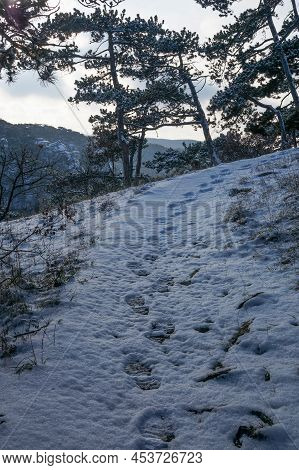 Wonderful And Idyllic Winter Landscape In Austria. Lower Austria. Moedling. Winter And Landscape Con