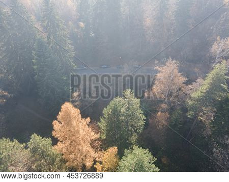 Aerial View Of Old Sequoia Forest Near Village Of Bogoslov, Kyustendil Region, Bulgaria