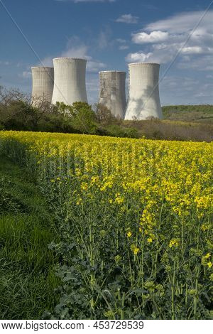 Cooling Towers Of Nuclear Power Plant With The Yellow Field Of Rapeseed, Canola Or Colza. Mochovce. 
