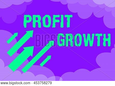 Conceptual Display Profit Growth. Business Idea Objectives Interrelation Of Overall Sales Market Sha