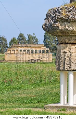 Parco archeologico. Metaponto. Basilicata. Italia.