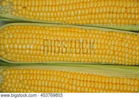 Corn Background. Fresh Organic Farm Market Product. Sweetcorn Cobs. Healthy Food. Summer Harvest.
