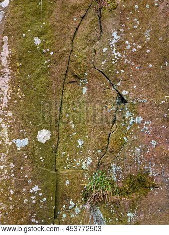 Close Up Of Weathered Sandstone Rock With Mosses, Lichens And Cracks In Rock