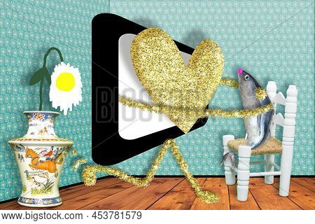 Struggles To Attract Viewers. Fight To Attract Television Viewers In A Humorous Way, A Heart Coming 