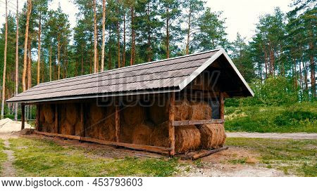 Hay Bales Stacked Under A Wooden Shed At A Farm In The Forest. Harvesting And Storage Of Hay