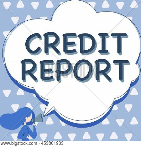 Conceptual Display Credit Report. Internet Concept Borrowing Rap Sheet Bill And Dues Payment Score D