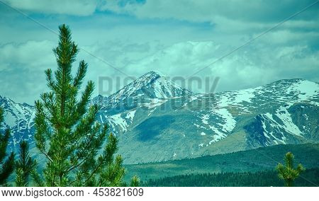 Ulagansky Pass, Altai  Mountain,  Woodland Country Nature