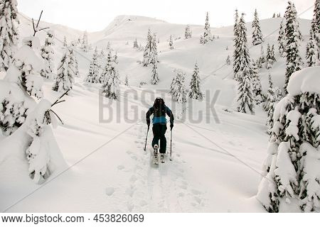 Rear View Of Active Skier Climbing The Hill On Splitboard. Ski Touring In Mountains.