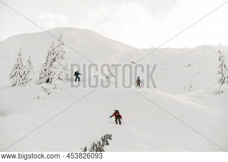 Group Of Tourists With Splitboards Walks On Snow, Extreme Ascent And Ski Touring.