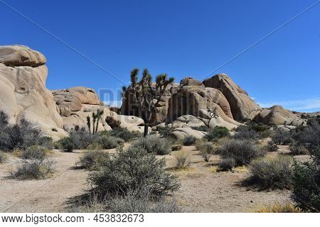 Rural Mojave Desert Barren Landscape In California.