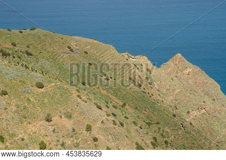 Hillside Next To The Sea. Agulo. La Gomera. Canary Islands. Spain.
