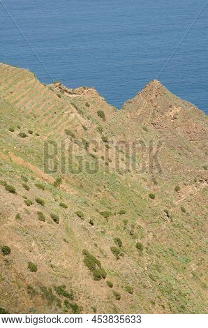Hillside Next To The Sea. Agulo. La Gomera. Canary Islands. Spain.
