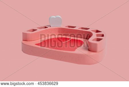 Jaw Model With Single Milk Baby Tooth. Primary Deciduous Teeth Concept On Pink Background. Kids Game