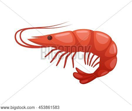 Color Shrimp On White Background Cartoon Vector Illustration