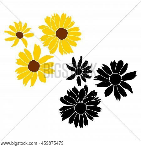 Set Of Open Heliopsis Blossom Vector Illustration Isolated On White Background. Vector Sketch Style 