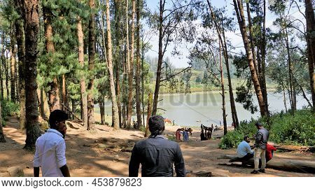 Tourists Enjoying Beautiful Landscape View Of Sandynulla Lake From Pine Forest, Ooty, Tamilnadu, Ind
