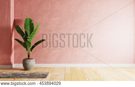Banana Plant Pot In The Red Coral Color Living Room With Raw Concrete Wall Background. Interior And 