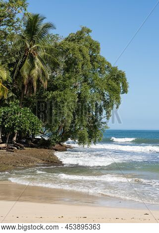 Cahuita National Park, Beautiful Tropical Caribbean Beach, Cahuita, Costa Rica East Coast