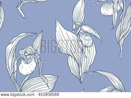 Ladys Slipper Orchid. Cypripedioideae. Seamless Pattern, Background. Vector Illustration. In Botanic