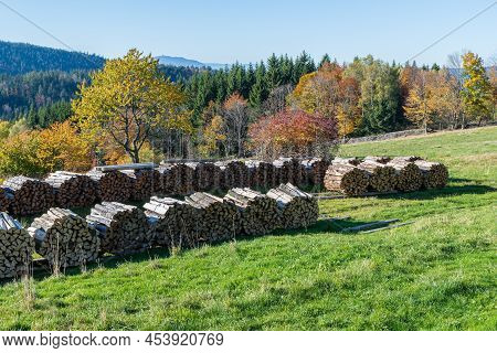 Autumn Landscape At The Mountain Small Arber, Bavaria, Germany