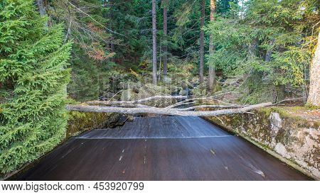Drainage At The Small Arber Lake, Bavaria, Germany