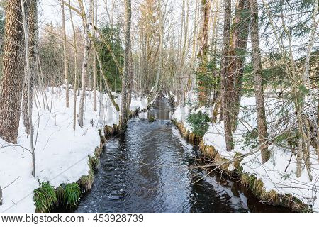 The Schwarzach Creek In Spiegelau In The Bavarian Forest, Germany