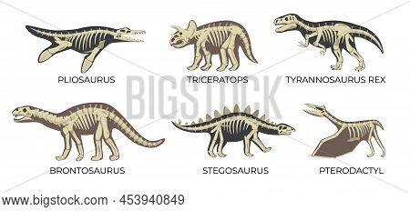 Flat Set Of Ancient Dinosaur Skeletons With Pliosaurus Triceratops Tyrannosaurus Rex Brontosaurus St