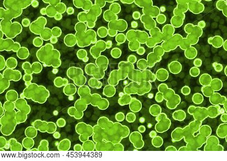 Amazing Creative Green Many Biological Living Cells Digital Graphics Texture Background Illustration