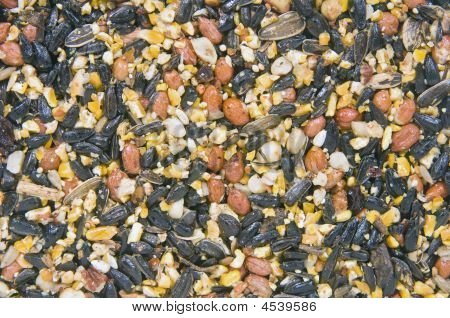 Birdseed tło