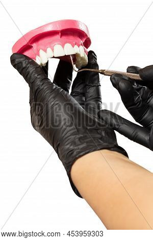Close-up View Of Dentist's Hands In Latex Gloves With A Layout Of The Human Jaw And A Plugger On The