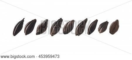 Roasted Rye Malt Grains Levitate On A White Background