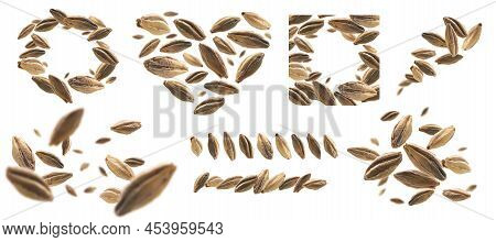 A Set Of Photos. Barley Malt Grains Levitate On A White Background