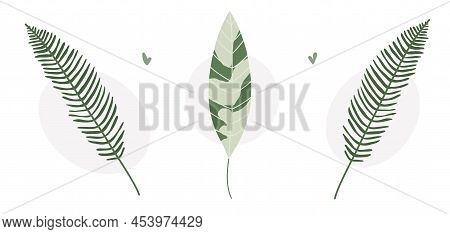 Colorful Hand Drawn Flat Houseplant Set Isolated On White Background