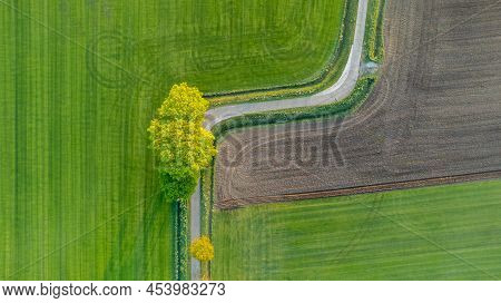 Aerial View Drone Shot Of Fresh Green Field In Spring Near Brecht By Antwerp, Belgium With Curvy Roa