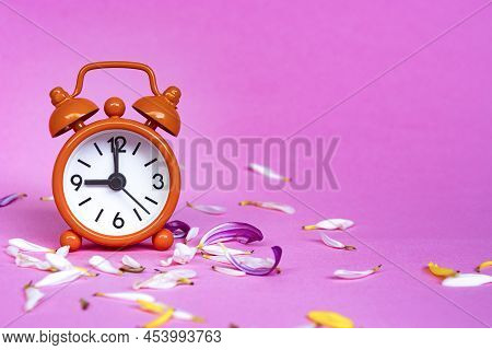 Orange Alarm Clock Set At 9 Oclock Isolated With Flower Petals.