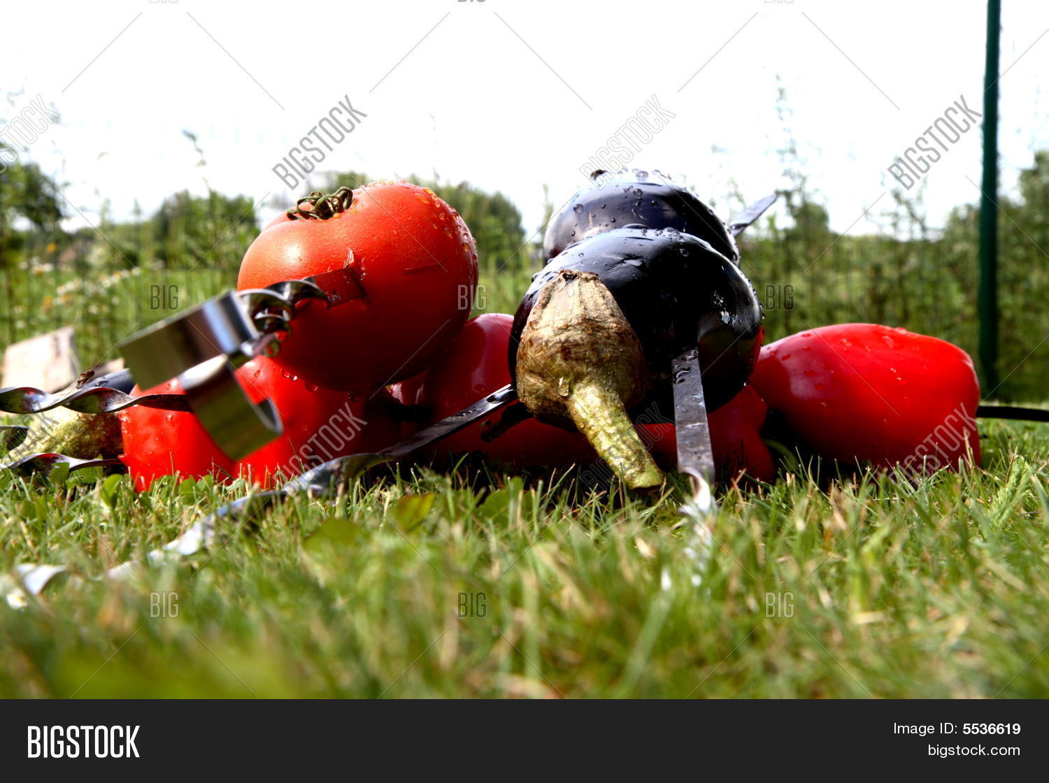 Image Preview