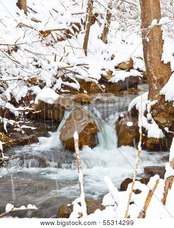 Snowy Stream In Virginia