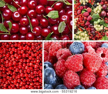 Collage of Ripe Sweet Red Berries 