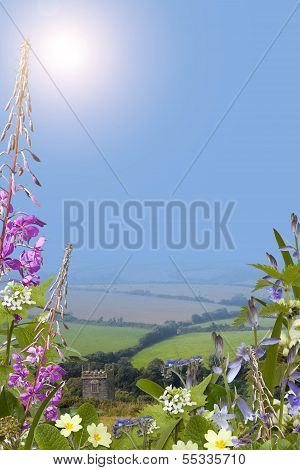 Summer Background With Wild Flowers, Portrait